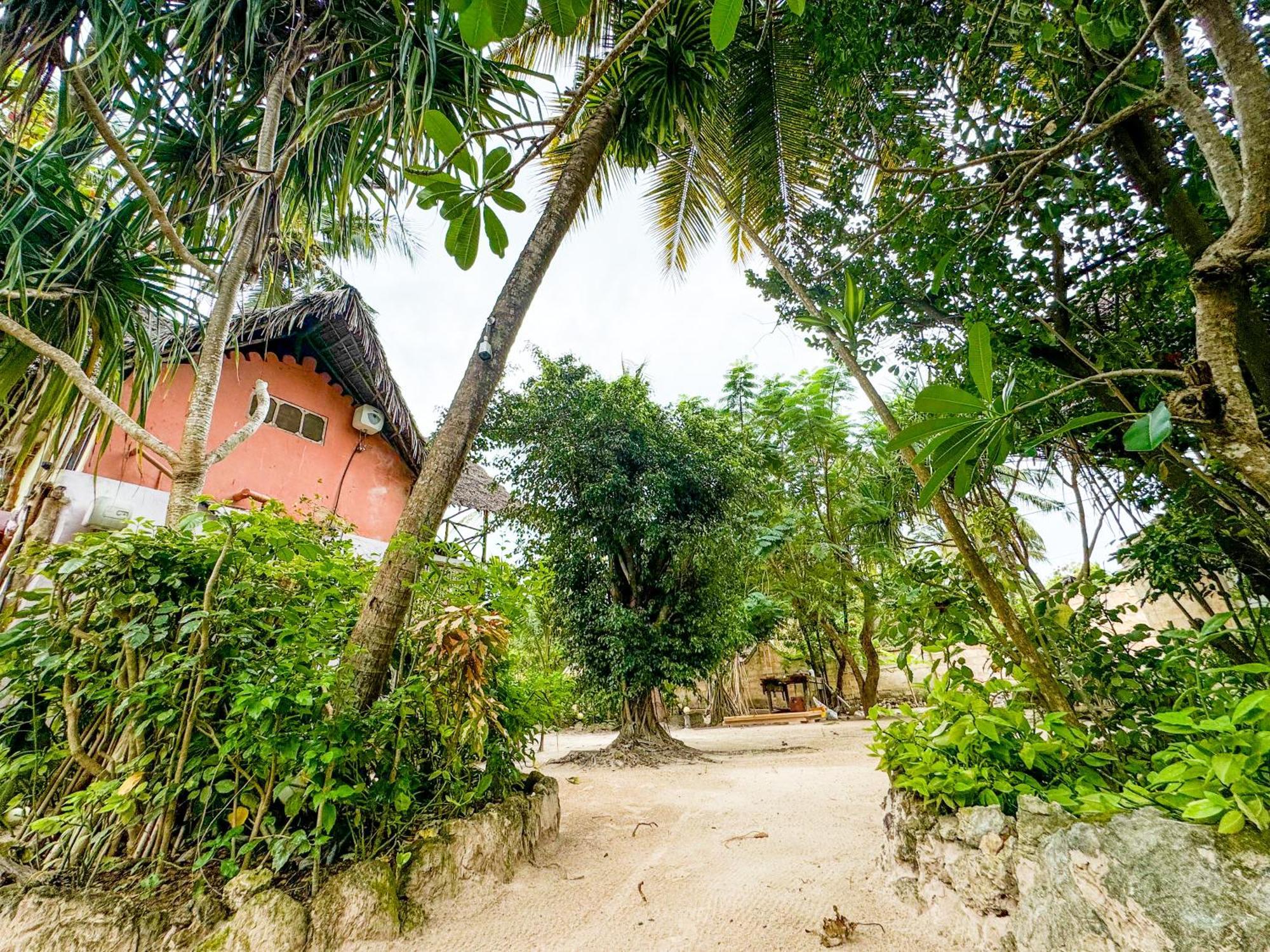 Sagando Bungalows Zanzibar Michamvi Exterior foto